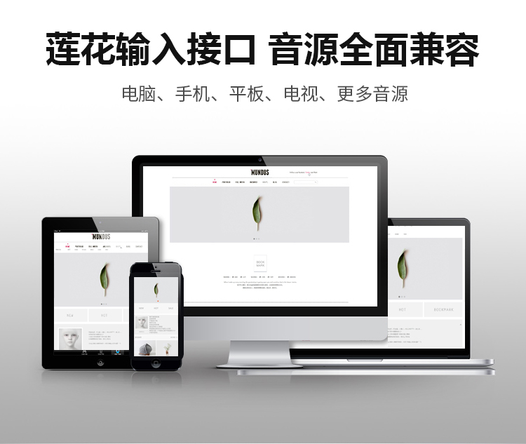 2.4G无线教学音箱系列 2.4G无线教学音箱系列